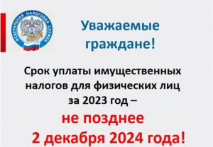 Срок уплаты имущественных налогов - до 2 декабря 2024 года